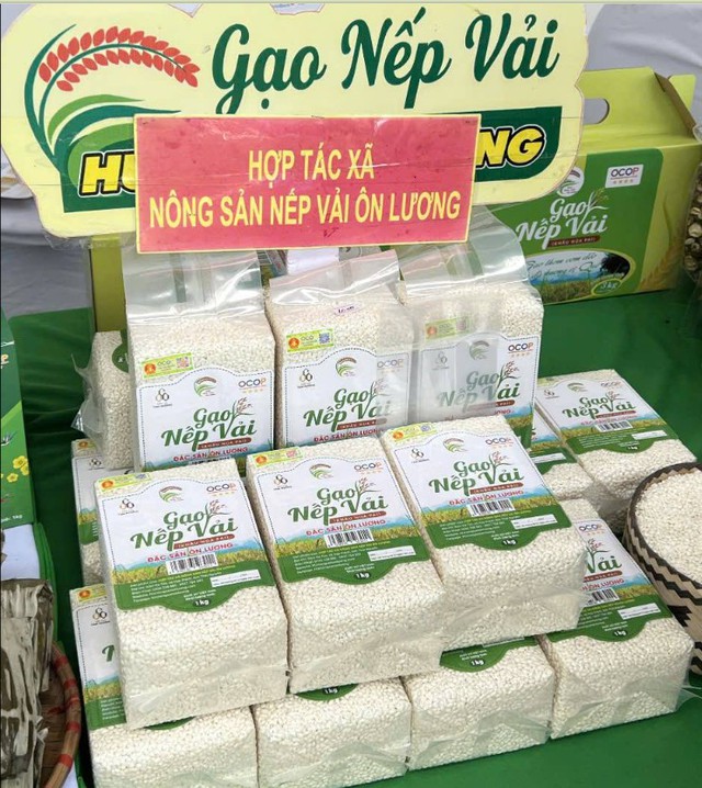 Nếp vải từ ruộng làng Ôn Lương đến OCOP 4 sao- Ảnh 6.