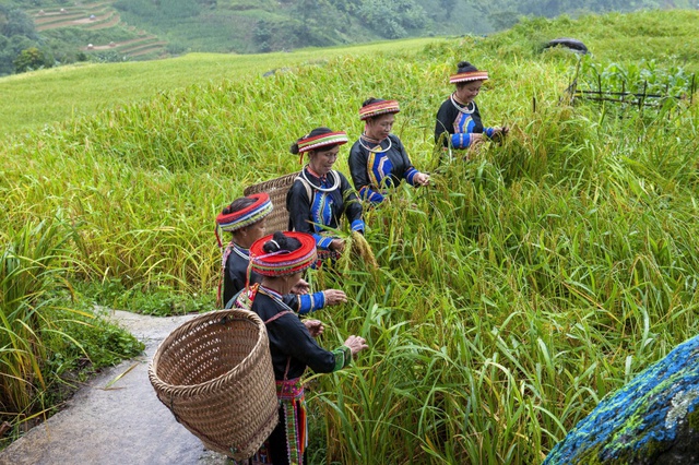 Giảm nghèo thông tin - chìa khóa thu hẹp khoảng cách phát triển tại Thái Nguyên - Ảnh 3.