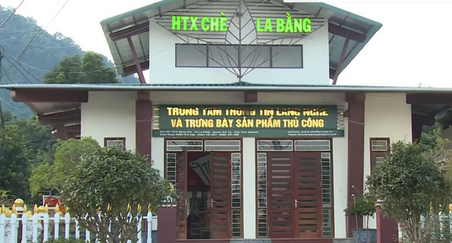 Chè La Bằng: Gieo thương hiệu, gặt sinh kế bền vững- Ảnh 4.