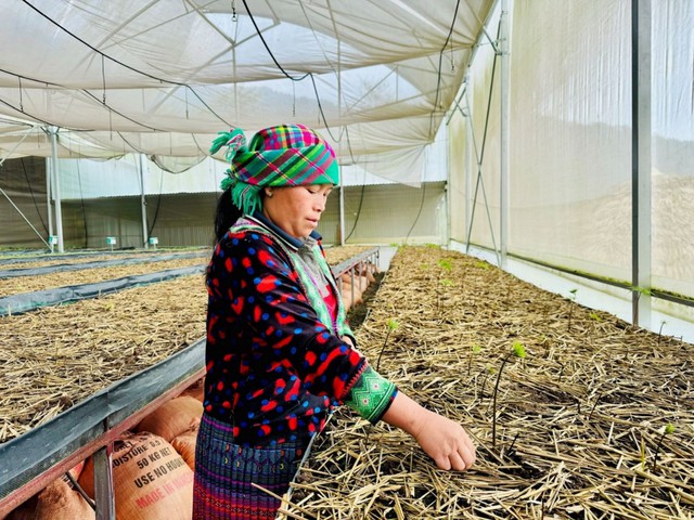 “Đòn bẩy” giúp giảm nghèo và nâng cao vị thế phụ nữ ở Lai Châu- Ảnh 1.