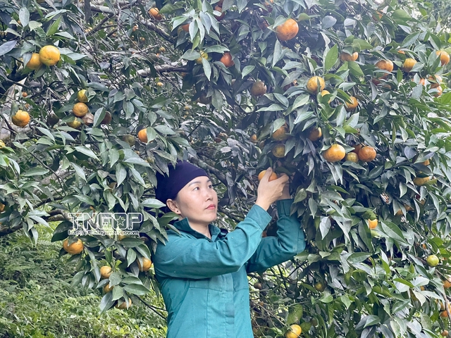 Giảm nghèo về thông tin: Trao cơ hội, khơi nội lực ở Thái Nguyên- Ảnh 1.