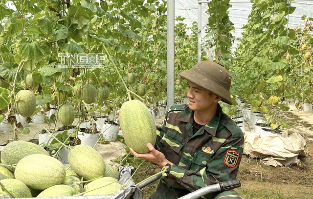 Phong Quang giảm nghèo từ thông tin và tri thức- Ảnh 2.