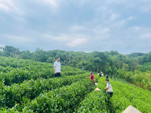 Yên Trạch: Giảm nghèo từ thông tin, bền vững từ nội lực- Ảnh 3.