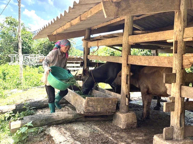Giảm nghèo về thông tin: Trao cơ hội, khơi nội lực ở Thái Nguyên- Ảnh 2.