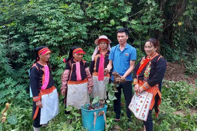 Phong Thổ triển khai hiệu quả chương trình giảm nghèo gắn với thúc đẩy bình đẳng giới- Ảnh 1.