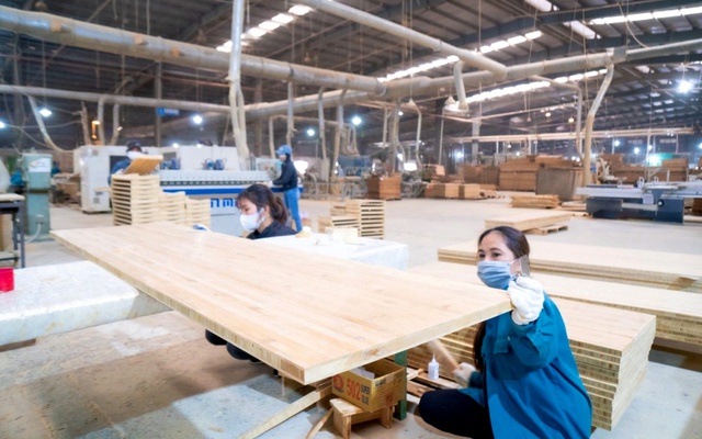 Nhận thừa kế hơn 2,9 triệu cổ phiếu SJF: Giá trị trên giấy gần 5 tỷ đồng, nhưng bài toán thanh khoản còn bỏ ngỏ- Ảnh 1.