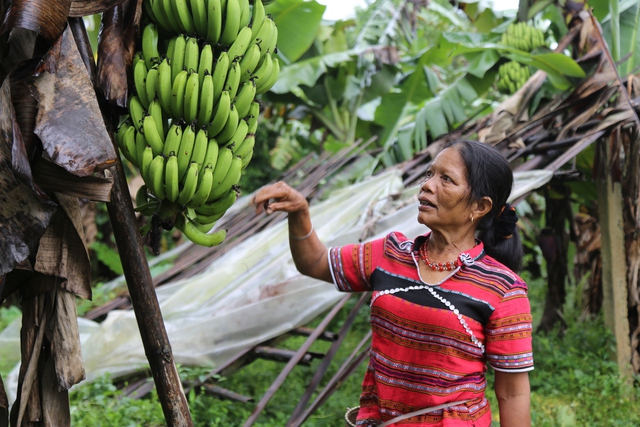 Người phụ nữ Cơ Tu dựng sinh kế từ văn hóa bản địa- Ảnh 1.