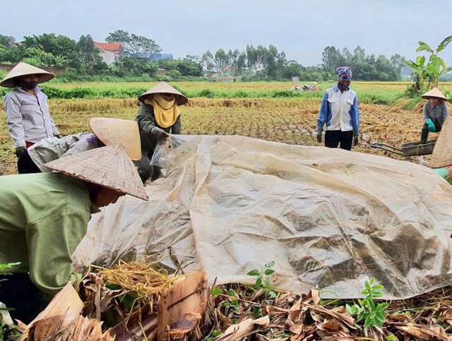 Tái chế phụ phẩm nông nghiệp: Nền tảng cho du lịch xanh nông thôn- Ảnh 3.