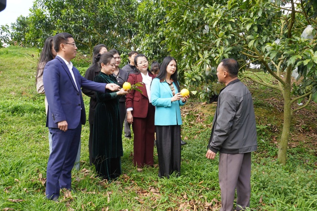 Hội LHPN Việt Nam trao "Tết yêu thương" tại tỉnh Điện Biên- Ảnh 7.