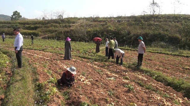 Nguồn lực thúc đẩy giảm nghèo và bình đẳng giới ở vùng biên Si Pa Phìn- Ảnh 1.