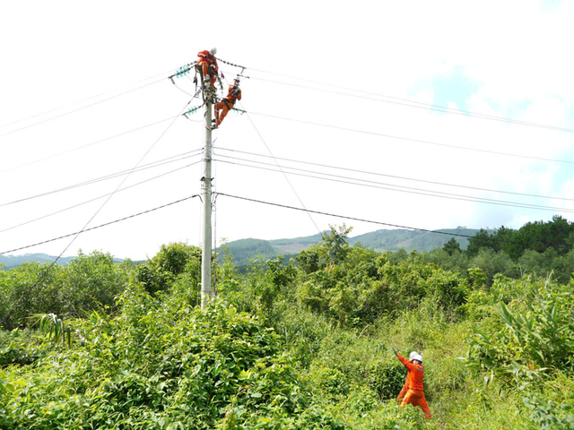 Điện lực Việt Nam đảm bảo cung cấp điện dịp Tết Dương lịch và Tết Nguyên đán Bính Ngọ 2026- Ảnh 1. Điện lực Việt Nam đảm bảo cung cấp điện dịp Tết Dương lịch và Tết Nguyên đán Bính Ngọ 2026- Ảnh 1.