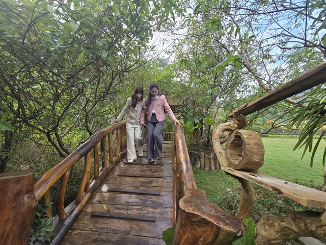 Lần đầu tiên Lạng Sơn tổ chức Countdown kết hợp bắn pháo hoa dịp tết Dương lịch 2026- Ảnh 3.