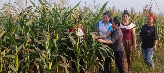 Hội LHPN tỉnh Điện Biên định hướng 3 mục tiêu cốt lõi, mang tính đột phá trong nhiệm kỳ mới- Ảnh 4. Hội LHPN tỉnh Điện Biên định hướng 3 mục tiêu cốt lõi, mang tính đột phá trong nhiệm kỳ mới- Ảnh 4.