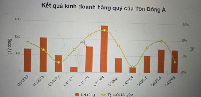 Tôn Đông Á trở lại đường đua HoSE có gì mới?- Ảnh 2.