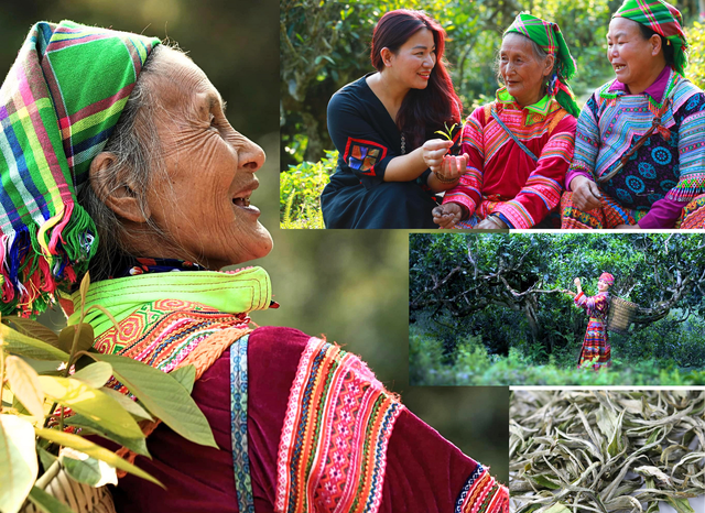 Nàng dâu ở cao nguyên đá Hà Giang biến trà shan tuyết thành mỹ phẩm- Ảnh 1. Nàng dâu ở cao nguyên đá Hà Giang biến trà shan tuyết thành mỹ phẩm- Ảnh 1.
