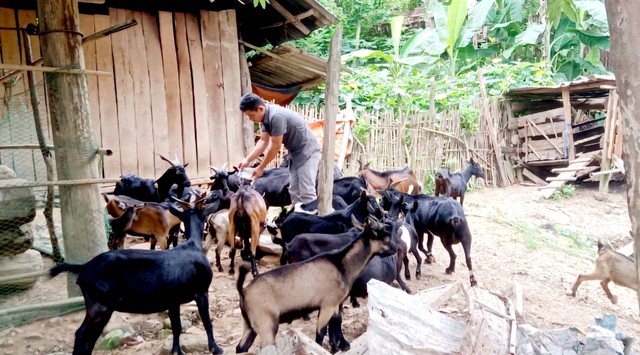 Internet về bản, người vùng cao bắt nhịp kinh tế số- Ảnh 5. Internet về bản, người vùng cao bắt nhịp kinh tế số- Ảnh 5.