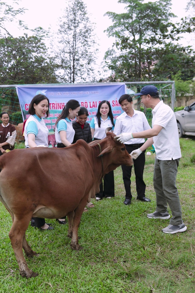TƯ Hội LHPN Việt Nam hỗ trợ triển khai mô hình "Chăn nuôi bò lai sinh sản" cho phụ nữ khó khăn- Ảnh 6. TƯ Hội LHPN Việt Nam hỗ trợ triển khai mô hình "Chăn nuôi bò lai sinh sản" cho phụ nữ khó khăn- Ảnh 6.