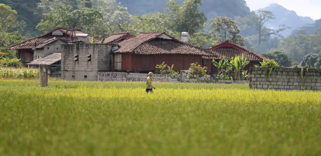 Lạng Sơn đón khách "xông đất" đầu năm 2026 bằng nụ cười hiếu khách- Ảnh 4. Lạng Sơn đón khách "xông đất" đầu năm 2026 bằng nụ cười hiếu khách- Ảnh 4.