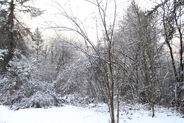 Cảnh sắc siêu thực ở Cửu Trại Câu mùa tuyết trắng- Ảnh 10.