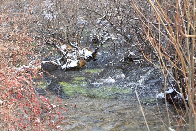 Cảnh sắc siêu thực ở Cửu Trại Câu mùa tuyết trắng- Ảnh 11.