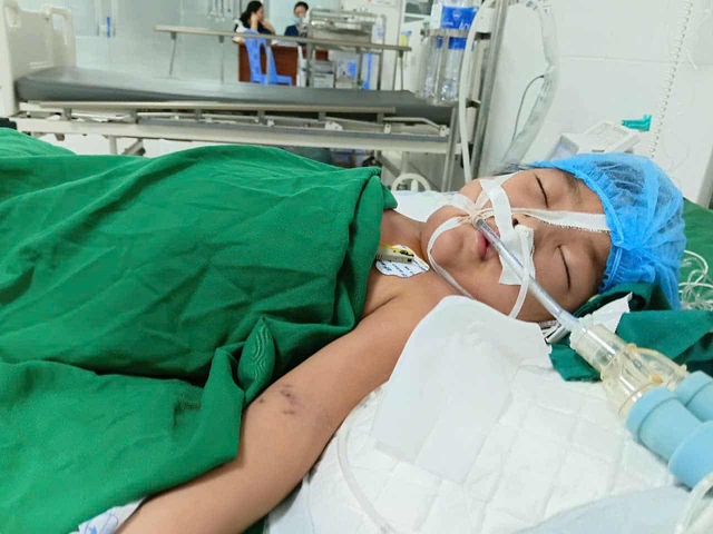 Mẹ nghèo khẩn cầu sự sống cho con gái 8 tuổi đang nguy kịch trong bệnh viện- Ảnh 3.