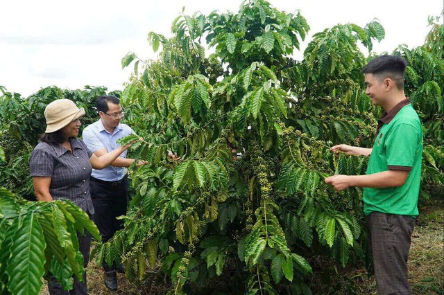 Lâm Đồng giữ vững mạch chảy tín dụng chính sách, bước vào Xuân 2026 đầy khí thế- Ảnh 3. Lâm Đồng giữ vững mạch chảy tín dụng chính sách, bước vào Xuân 2026 đầy khí thế- Ảnh 3.