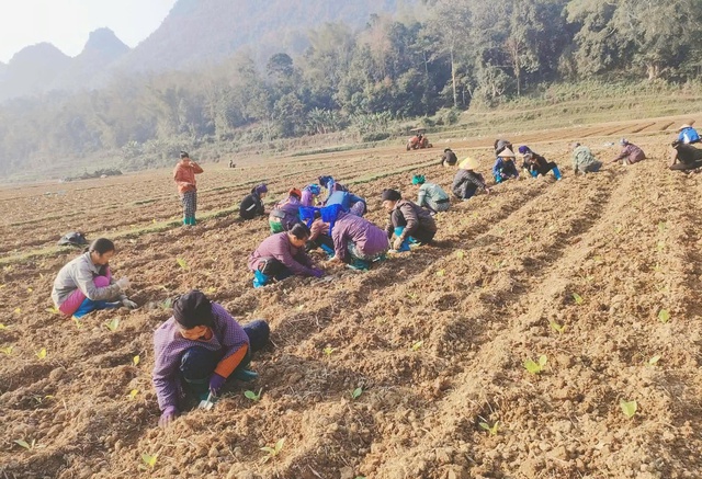 Phụ nữ Cao Bằng hướng tới Đại hội XIV của Đảng bằng nhiều hoạt động thiết thực- Ảnh 1.