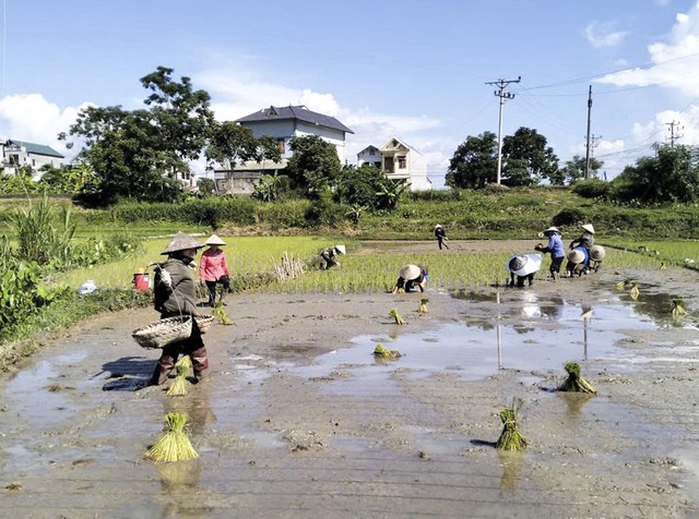 Nỗ lực kiến tạo điểm tựa an sinh cho phụ nữ yếu thế vùng sáp nhập giữa tâm điểm thiên tai- Ảnh 3.