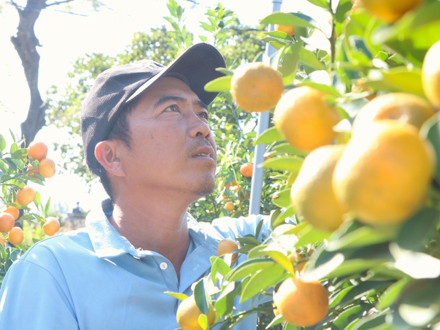 Những phụ nữ giữ nhịp Tết ở "thủ phủ quất lớn nhất miền Trung"- Ảnh 2.