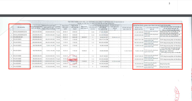 Nguyên nhân khiến Novaland chưa thể thanh toán lãi trái phiếu đúng hạn- Ảnh 2.