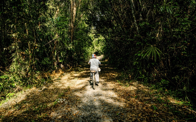 Du lịch chăm sóc sức khỏe toàn diện: Phát huy lợi thế của Việt Nam- Ảnh 2.