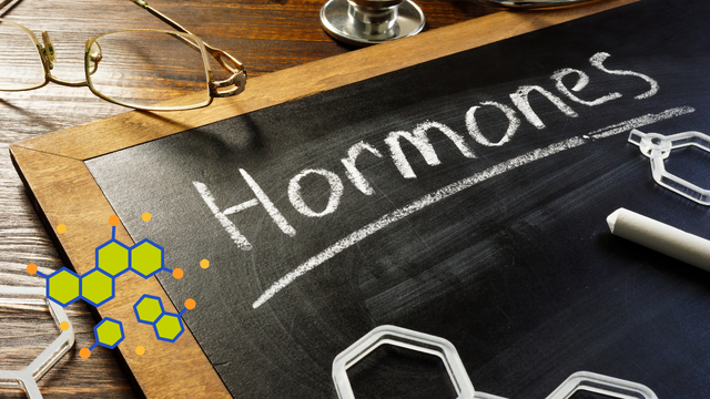 Chuyên gia lý giải vì sao phụ nữ càng lớn tuổi càng dễ tích mỡ- Ảnh 2. Chuyên gia lý giải vì sao phụ nữ càng lớn tuổi càng dễ tích mỡ- Ảnh 2.