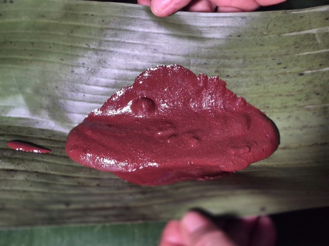 Du lịch Philippines: Những điểm dừng chân “gây thương nhớ” ở Cebu, Bohol- Ảnh 15. Du lịch Philippines: Những điểm dừng chân “gây thương nhớ” ở Cebu, Bohol- Ảnh 15.