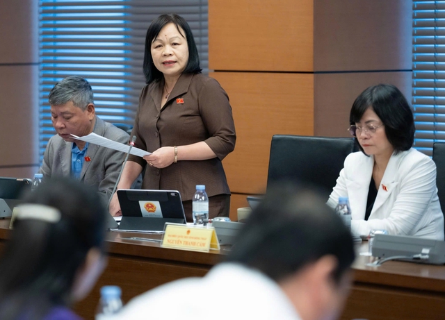 Đại biểu Nguyễn Thị Mai Hoa (Đoàn đại biểu Quốc hội tỉnh Đồng Tháp)  phát biểu tại tổ trong chương trình Kỳ họp thứ 10, Quốc hội khóa XV