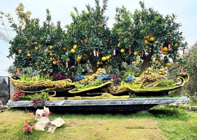 Chiêm ngưỡng loạt cây chơi Tết có giá hàng trăm triệu đồng- Ảnh 6.
