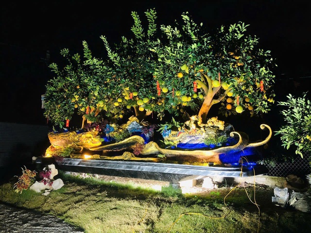 Chiêm ngưỡng loạt cây chơi Tết có giá hàng trăm triệu đồng- Ảnh 7.