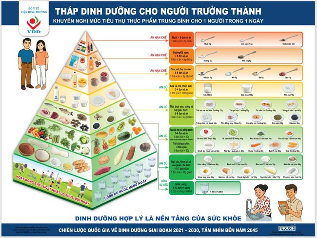Dinh dưỡng của người Việt: Cần hướng về nguyên tắc "ăn đúng, đủ và cân đối"- Ảnh 2.