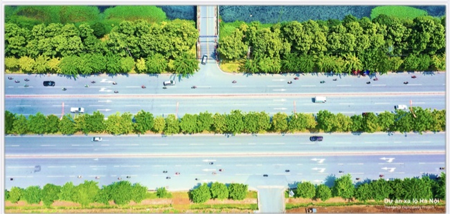 Hệ sinh thái của CII với những dự án BOT doanh thu nghìn tỷ- Ảnh 3.