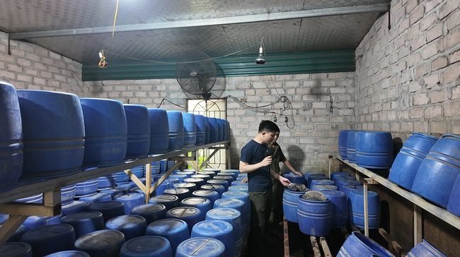 Phát hiện 3 xưởng sản xuất giá đỗ dùng chất cấm, thu giữ hơn 12 tấn sản phẩm- Ảnh 1.