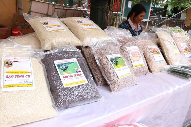 Lào Cai nâng chất lượng dự án, mở rộng cơ hội khởi nghiệp cho phụ nữ - Ảnh 6.