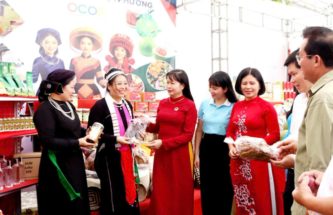 Lào Cai: Thúc đẩy phụ nữ khởi nghiệp, phát triển kinh tế tập thể - Ảnh 5.