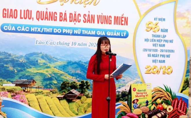 Lào Cai: Thúc đẩy phụ nữ khởi nghiệp, phát triển kinh tế tập thể - Ảnh 4.