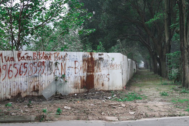 Hà Nội xây thêm gần 1.000 trường học, có giải được bài toán thiếu trường, lớp học quá tải?- Ảnh 3.