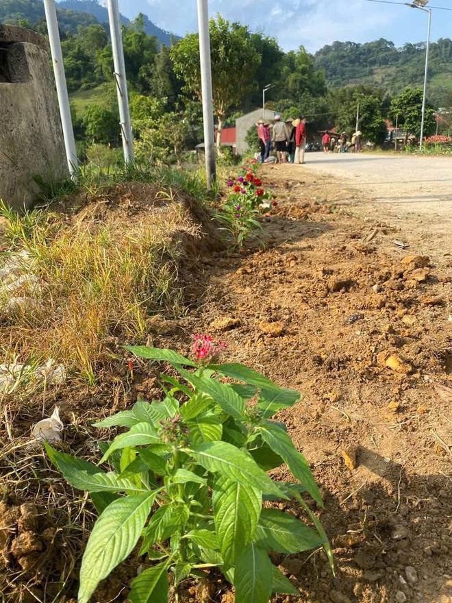 Hội LHPN tỉnh Sơn La gửi gắm nhiều kỳ vọng vào Đại hội đại biểu toàn quốc MTTQ Việt Nam lần thứ XI- Ảnh 2.