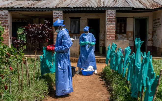 Nguy cơ "vỡ trận" dịch Ebola tại Congo- Ảnh 3. Nguy cơ "vỡ trận" dịch Ebola tại Congo- Ảnh 3.