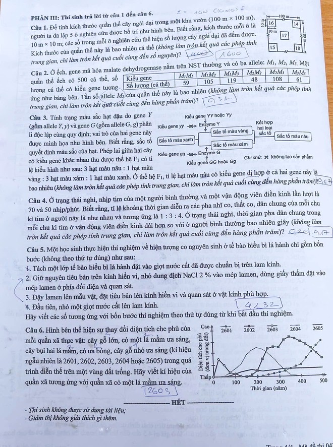 Kỳ thi tốt nghiệp THPT 2026: Nhận xét và gợi ý đáp án các môn tự chọn đầy đủ mã đề- Ảnh 22.