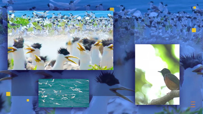 Vietnam Wild Live: Bước tiến mới kết nối con người với thiên nhiên hoang dã - Ảnh 4.