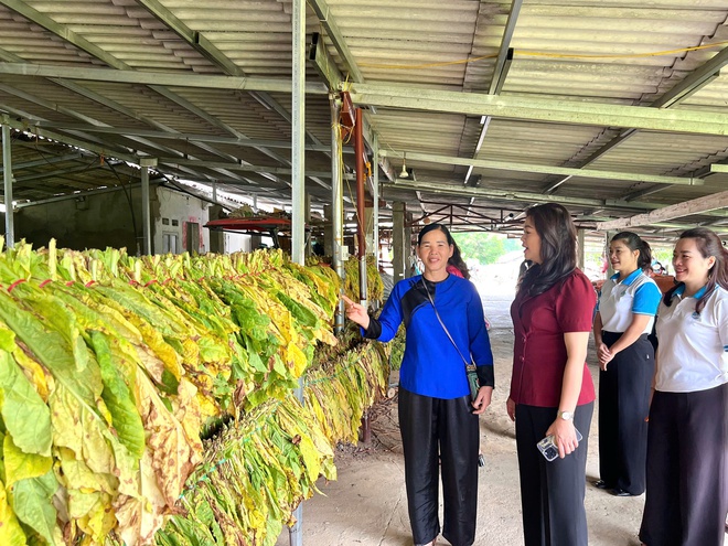 Hội LHPN tỉnh Cao Bằng kiểm tra, giám sát công tác Hội và phong trào phụ nữ tại địa bàn xã- Ảnh 7.