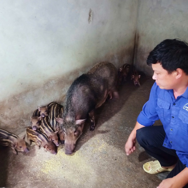 Cặp vợ chồng dân tộc Mường "hai vai gánh việc làng", vun đắp những giá trị của gia đình Việt - Ảnh 4.