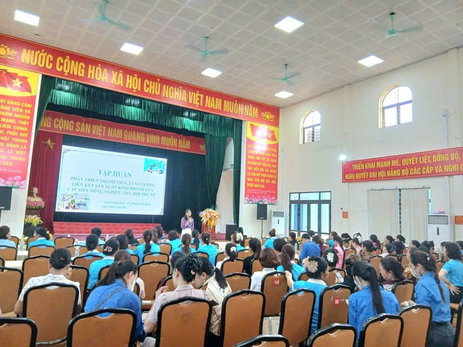 Bắc Ninh: Bồi dưỡng kiến thức kinh tế tập thể, tiếp sức phụ nữ thành lập và phát triển hợp tác xã- Ảnh 2.